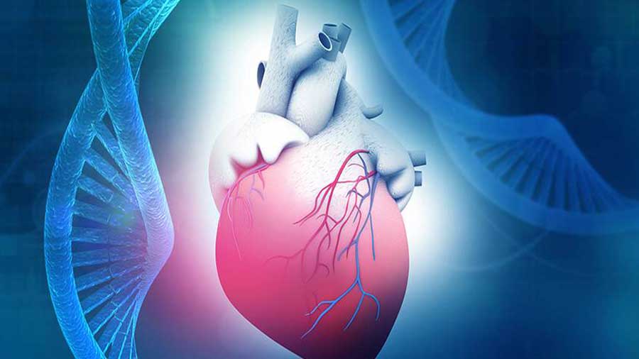 Kalp Hastalıklarında Risk Faktörleri ve Belirtiler